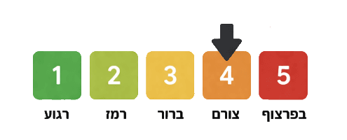 מיסקלקולציה